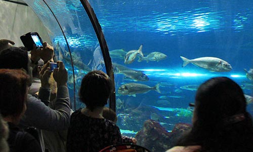  découvrir parcs à thème barcelone informations touristiques aquarium capitale catalane 