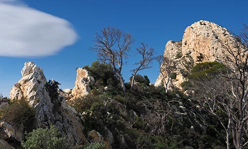 guia zonas proteccion reservas naturales catalunya 
