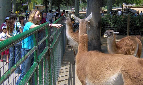  guide meilleurs zoos catalogne information parc zoologique 
