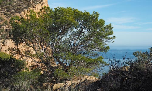 guide decouvrir nature Catalunya