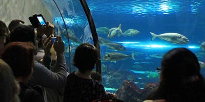 guia atraccions Port Vell barcelona descobreix Aquarium 