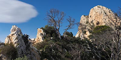  informacion parajes naturales patrimonio natural cataluña 