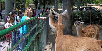  liste zoos capitale catalane info zoo barcelone 