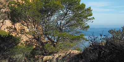 decouvrir nature Catalunya Patrimoine naturel catalan