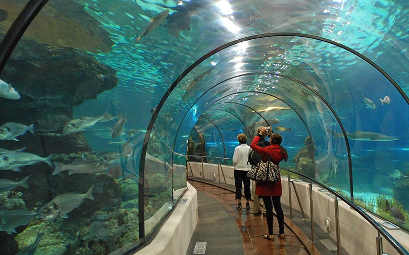 guide visite Aquarium Barcelone tunnel Oceanarium 