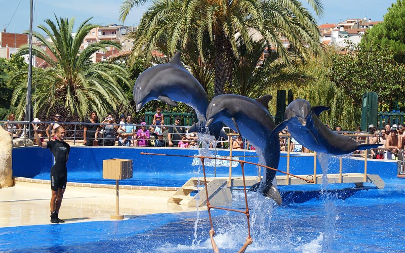 guia parque diversion Marineland Palafolls espectaculo delfines Cataluña