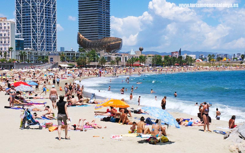  guia playa somorrostro villa olimpica foto gente tomando sol barcelona verano