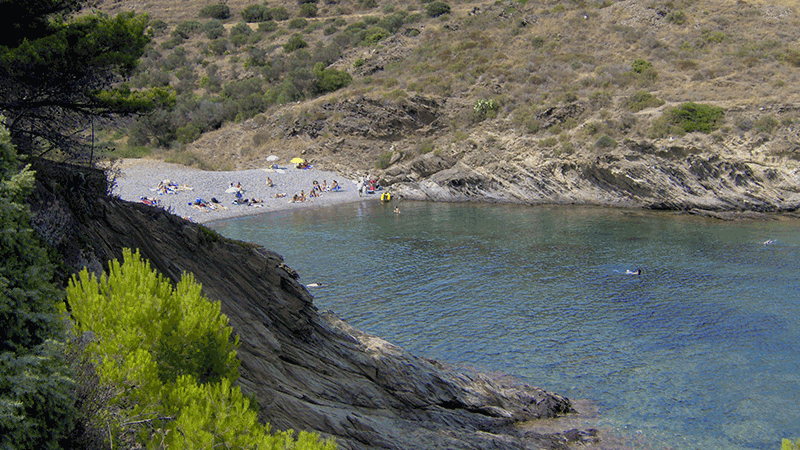  Cala de S Alqueria, beaches on the Costa Brava 