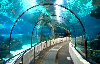  Découvrez les principales attractions touristiques de la Catalogne. Informations touristiques sur l'Aquarium de Barcelone.